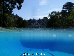 1/2 and 1/2 by David Dieter 